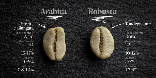 ARABICA O ROBUSTA: QUALE SCEGLIERE?