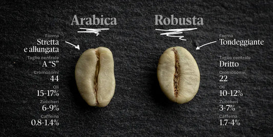 ARABICA O ROBUSTA: QUALE SCEGLIERE? - Ital Cialde