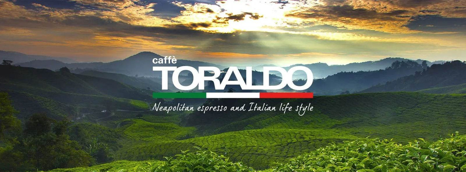 Caffè Toraldo - Ital Cialde