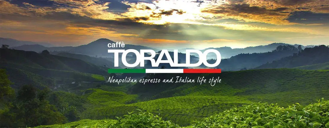 Capsule-Caffè-Toraldo-Compatibili-Caffitaly Ital Cialde